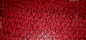 Preview: Koi Karpfen Leder – Rot